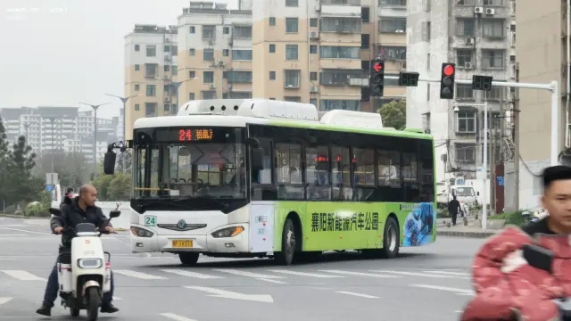 鄂F TV373×被电动车大军吓哭了