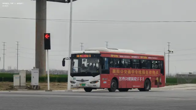 鄂F 19896D
