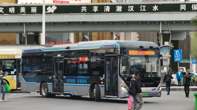 800BUS