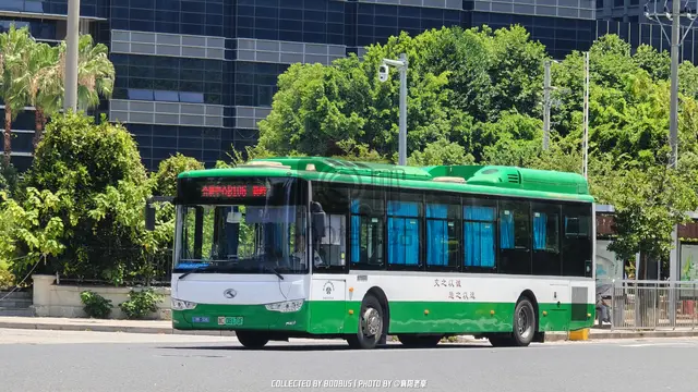 浙C 08170F