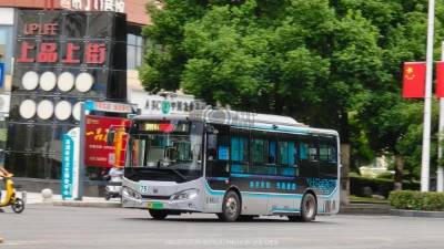 鄂F 12807D