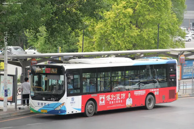 800BUS