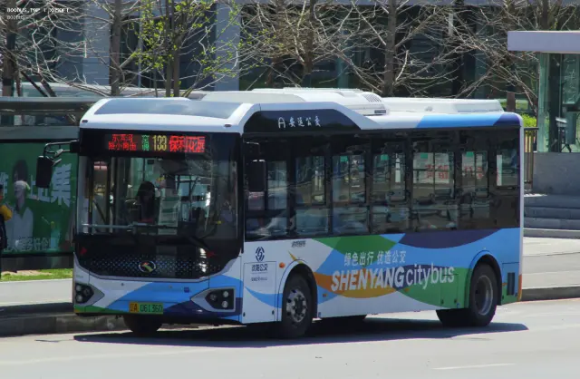 800BUS