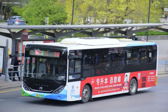 800BUS
