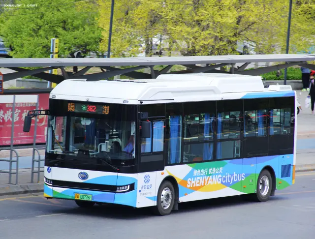 800BUS