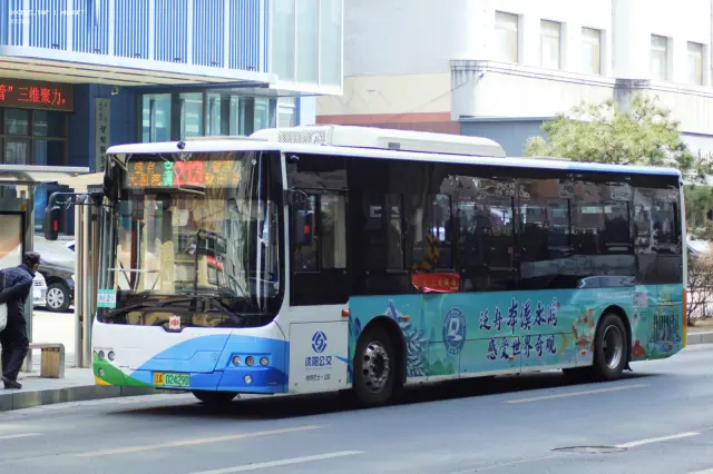 800BUS