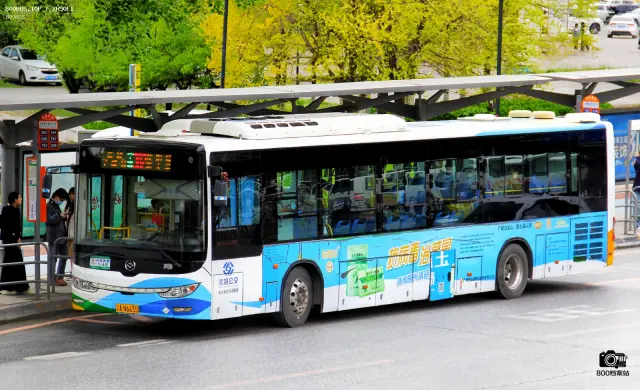 800BUS