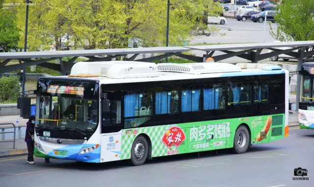 800BUS
