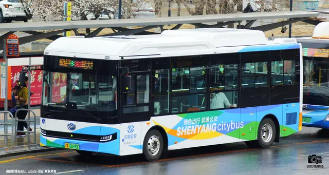800BUS