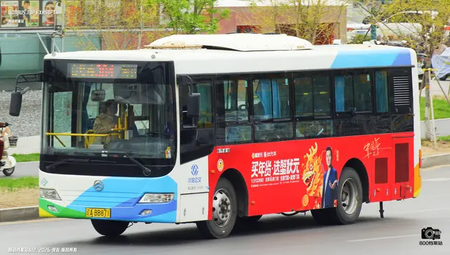 800BUS
