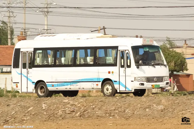 辽A 02908D