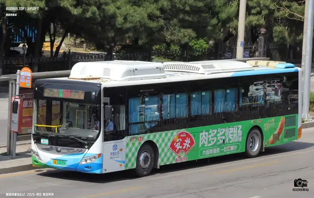 辽A 03879F