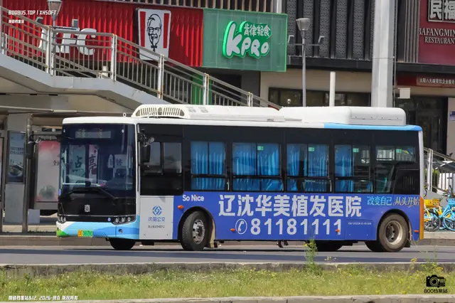 辽A 08939D