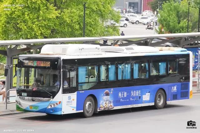 辽A 03862D