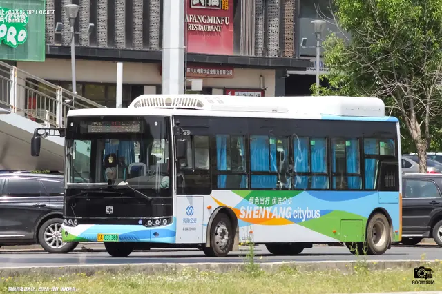 辽A 03136D