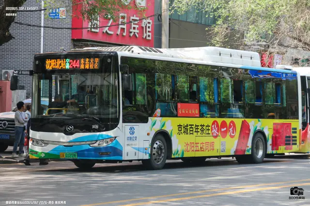 辽A 01219F