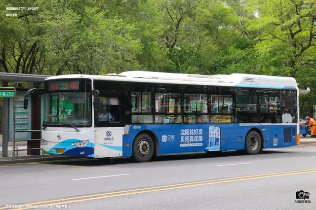 辽A BB506
