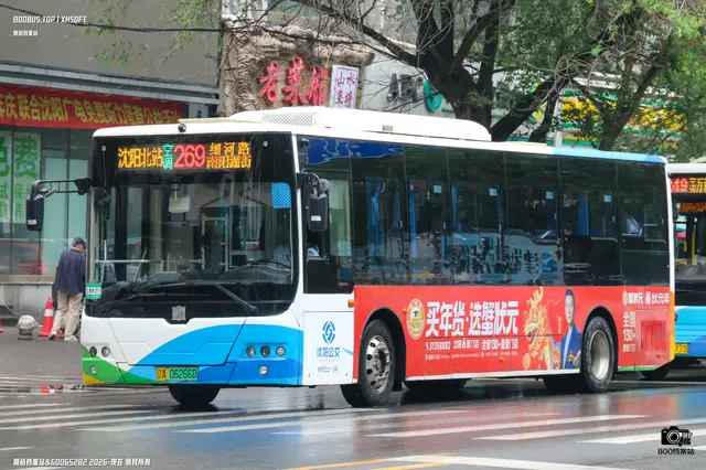 辽A 06266D