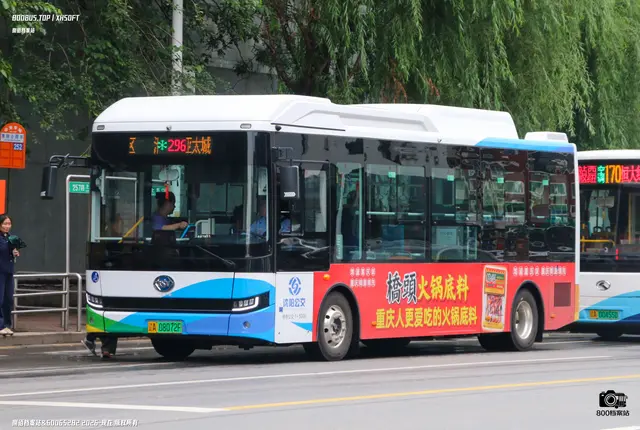 800BUS