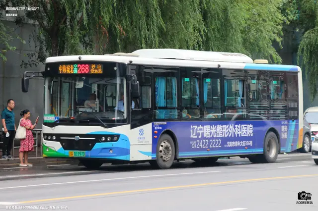800BUS