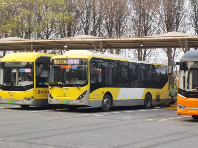 沪A36787D