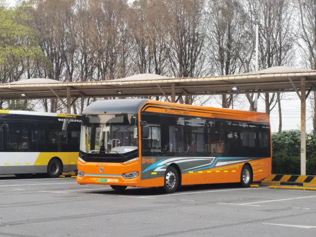沪A 12036D