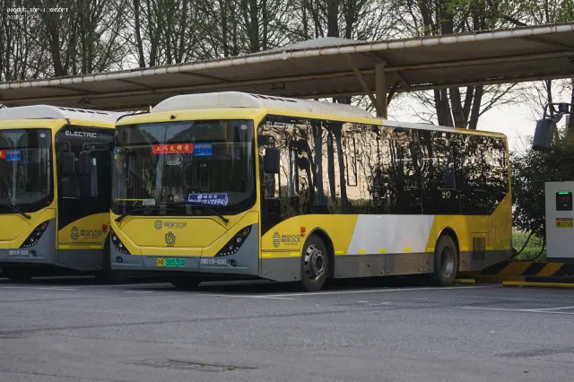沪A38535D