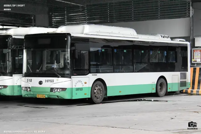 800BUS