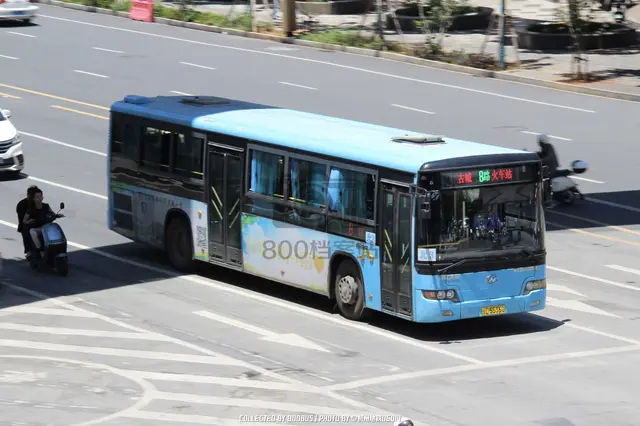 800BUS