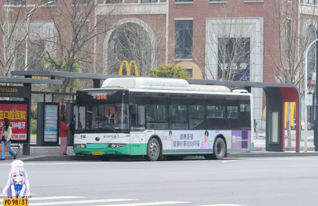 鄂A.RK665
