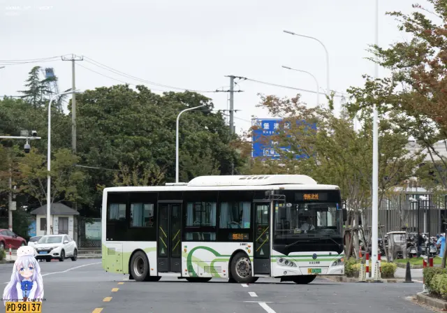 沪A 04370D