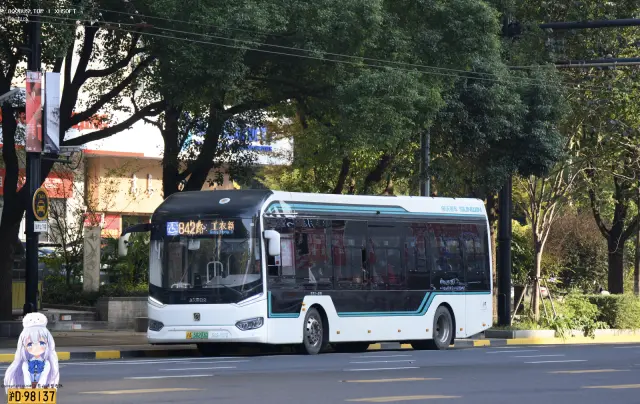 沪A.58293D