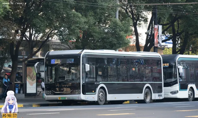 沪A.35918D