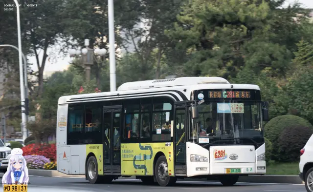 吉A.04189D