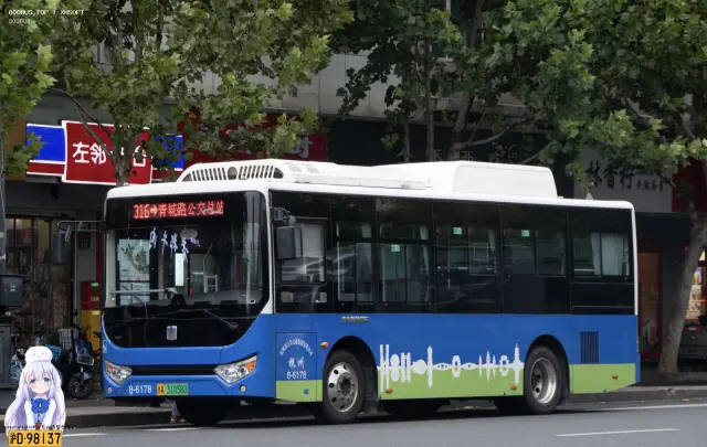 浙A.31058D