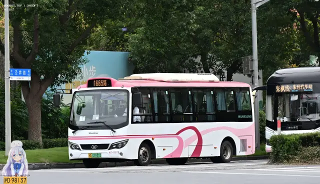 沪A 05931D