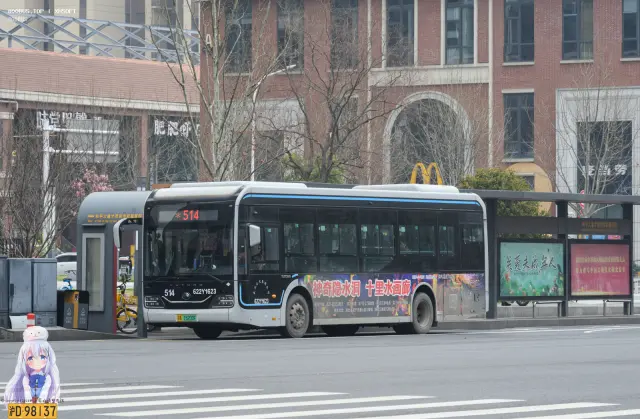 鄂A 15200F