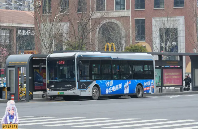 鄂A 38391D