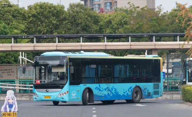800BUS