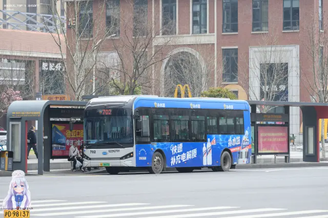 鄂A 36676D