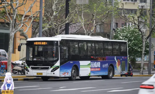 沪E J3273