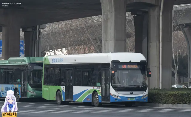 豫A 08067F