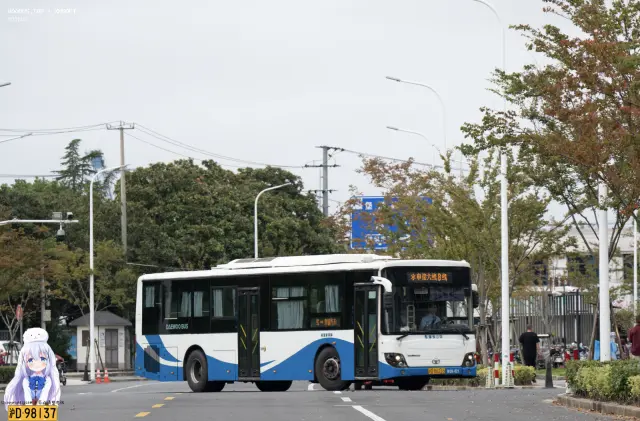 沪D.R6235
