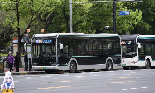 沪A.08749D