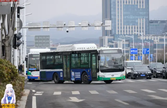 鲁B V2602