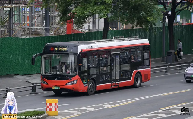 800BUS