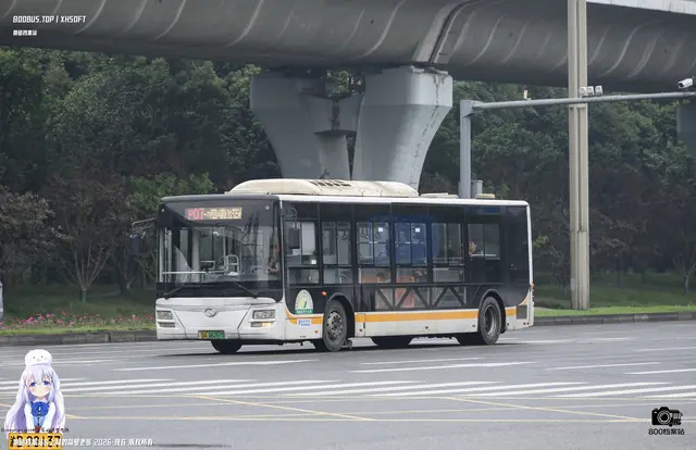 川A 06267D