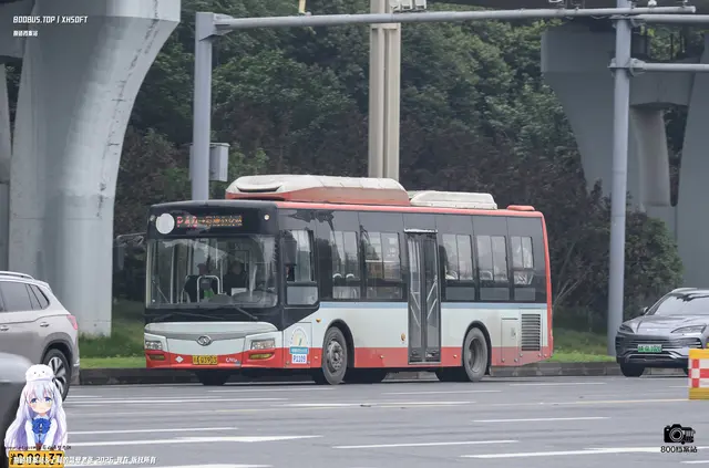 川A Q3903