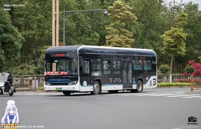 川A 16378D