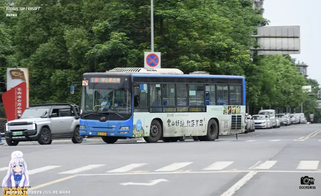 800BUS
